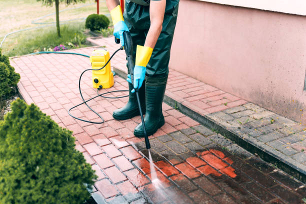 Best Exterior Home Cleaning  in Forty Fort, PA
