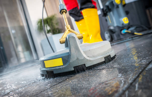 Best Exterior Home Cleaning  in Forty Fort, PA